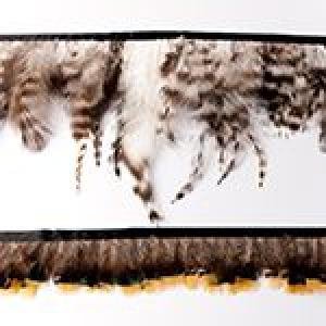 Ruban Plume  (9)